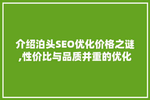 介绍泊头SEO优化价格之谜,性价比与品质并重的优化之路
