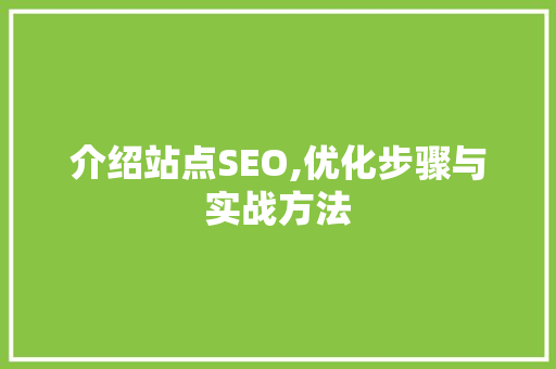 介绍站点SEO,优化步骤与实战方法