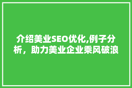 介绍美业SEO优化,例子分析，助力美业企业乘风破浪