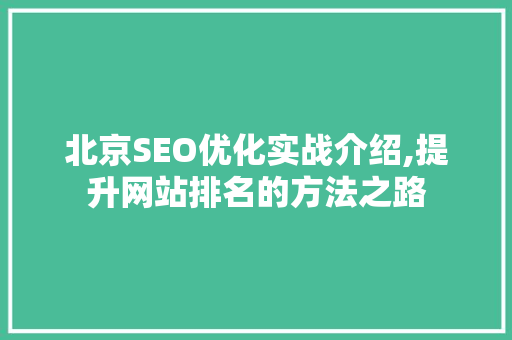 北京SEO优化实战介绍,提升网站排名的方法之路
