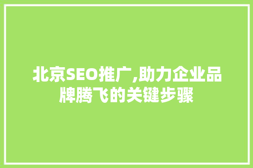 北京SEO推广,助力企业品牌腾飞的关键步骤