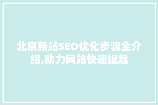 北京新站SEO优化步骤全介绍,助力网站快速崛起