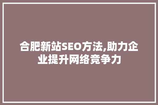 合肥新站SEO方法,助力企业提升网络竞争力