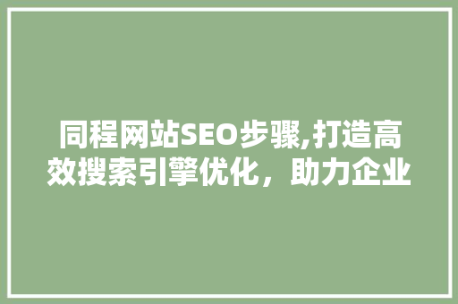 同程网站SEO步骤,打造高效搜索引擎优化，助力企业腾飞