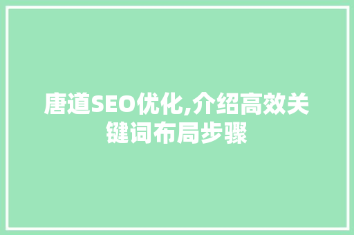 唐道SEO优化,介绍高效关键词布局步骤