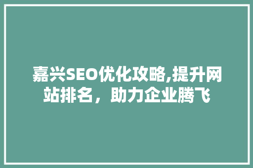嘉兴SEO优化攻略,提升网站排名，助力企业腾飞