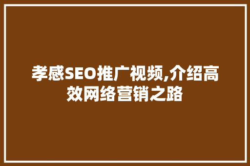 孝感SEO推广视频,介绍高效网络营销之路