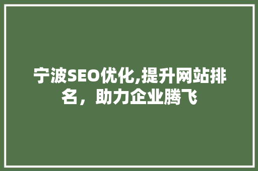宁波SEO优化,提升网站排名，助力企业腾飞