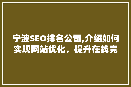 宁波SEO排名公司,介绍如何实现网站优化，提升在线竞争力