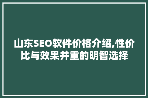 山东SEO软件价格介绍,性价比与效果并重的明智选择