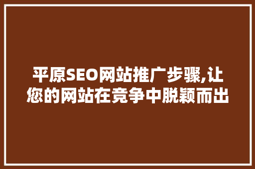 平原SEO网站推广步骤,让您的网站在竞争中脱颖而出