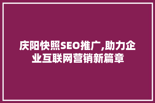 庆阳快照SEO推广,助力企业互联网营销新篇章