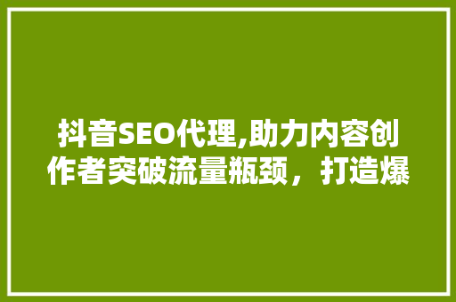 抖音SEO代理,助力内容创作者突破流量瓶颈，打造爆款短视频