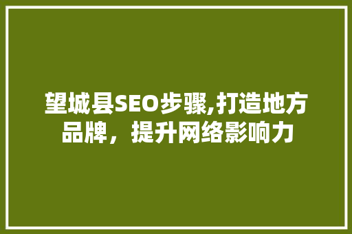 望城县SEO步骤,打造地方品牌，提升网络影响力