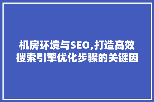 机房环境与SEO,打造高效搜索引擎优化步骤的关键因素