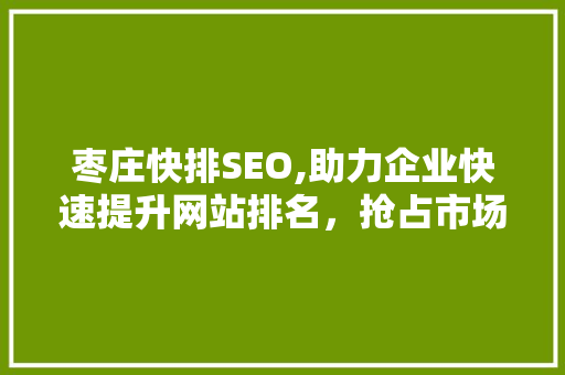 枣庄快排SEO,助力企业快速提升网站排名，抢占市场先机