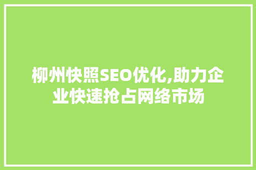 柳州快照SEO优化,助力企业快速抢占网络市场