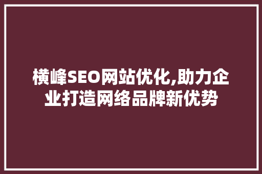横峰SEO网站优化,助力企业打造网络品牌新优势