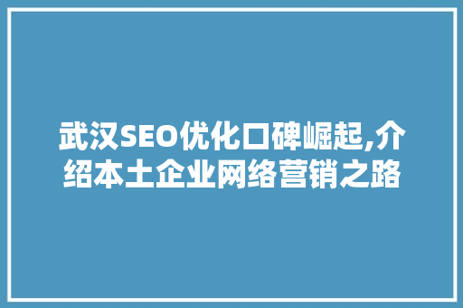 武汉SEO优化口碑崛起,介绍本土企业网络营销之路