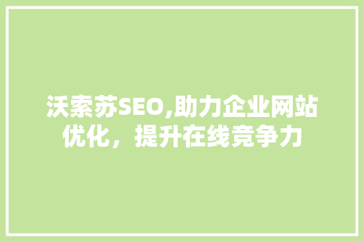沃索苏SEO,助力企业网站优化，提升在线竞争力