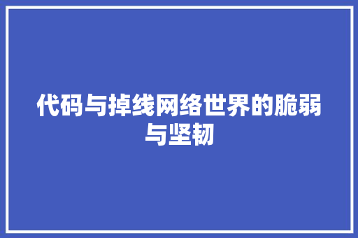 代码与掉线网络世界的脆弱与坚韧