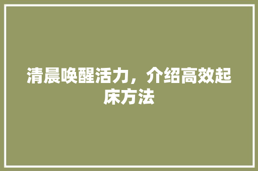 清晨唤醒活力，介绍高效起床方法