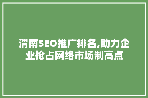 渭南SEO推广排名,助力企业抢占网络市场制高点