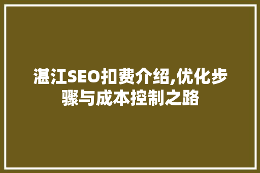 湛江SEO扣费介绍,优化步骤与成本控制之路