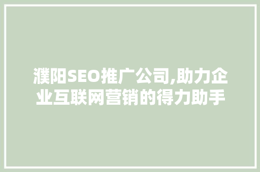 濮阳SEO推广公司,助力企业互联网营销的得力助手