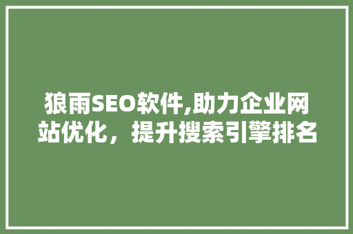 狼雨SEO软件,助力企业网站优化，提升搜索引擎排名
