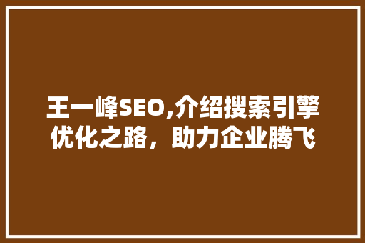 王一峰SEO,介绍搜索引擎优化之路，助力企业腾飞