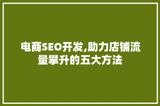 电商SEO开发,助力店铺流量攀升的五大方法