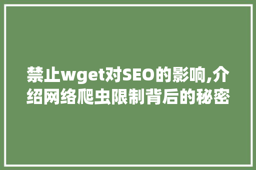 禁止wget对SEO的影响,介绍网络爬虫限制背后的秘密
