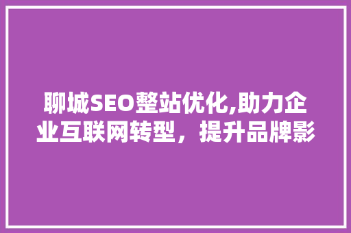 聊城SEO整站优化,助力企业互联网转型，提升品牌影响力