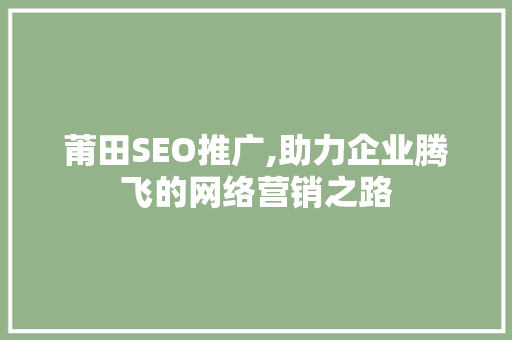 莆田SEO推广,助力企业腾飞的网络营销之路