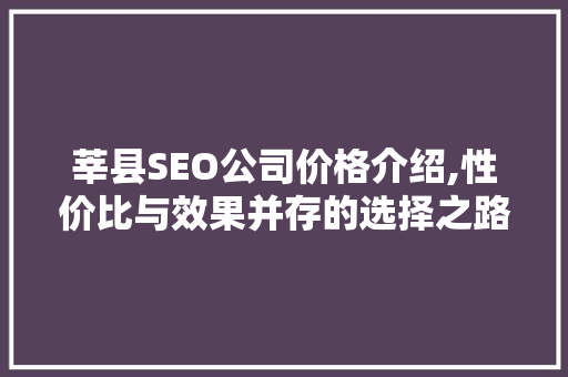 莘县SEO公司价格介绍,性价比与效果并存的选择之路