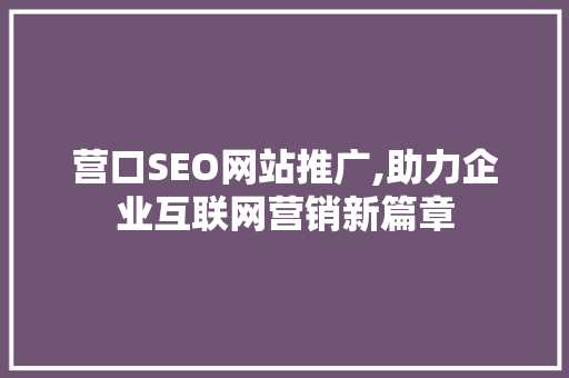 营口SEO网站推广,助力企业互联网营销新篇章