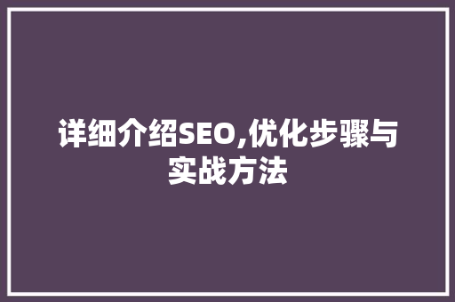 详细介绍SEO,优化步骤与实战方法