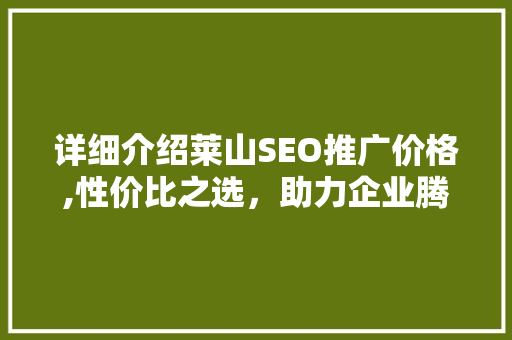 详细介绍莱山SEO推广价格,性价比之选，助力企业腾飞