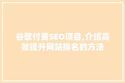 谷歌付费SEO项目,介绍高效提升网站排名的方法