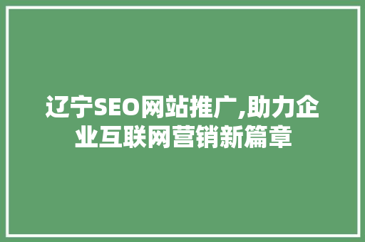 辽宁SEO网站推广,助力企业互联网营销新篇章