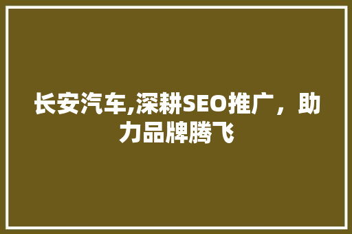 长安汽车,深耕SEO推广，助力品牌腾飞