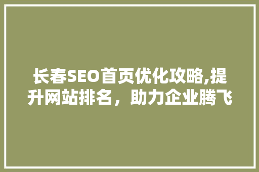 长春SEO首页优化攻略,提升网站排名，助力企业腾飞