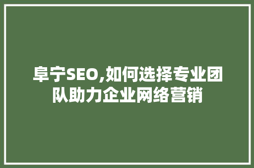 阜宁SEO,如何选择专业团队助力企业网络营销