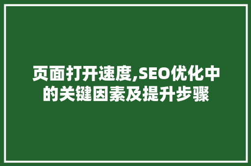 页面打开速度,SEO优化中的关键因素及提升步骤