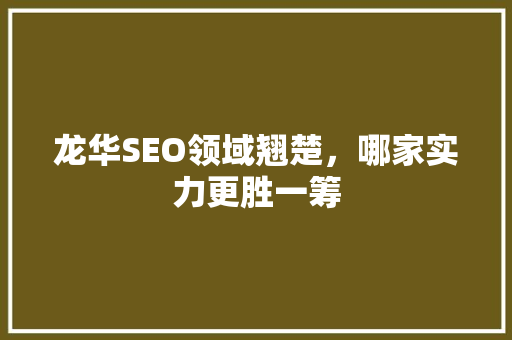 龙华SEO领域翘楚，哪家实力更胜一筹