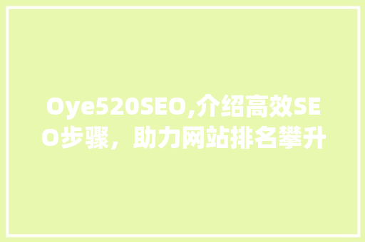 Oye520SEO,介绍高效SEO步骤，助力网站排名攀升