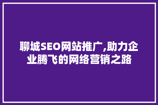 聊城SEO网站推广,助力企业腾飞的网络营销之路