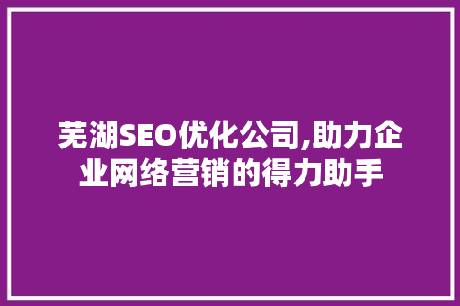 芜湖SEO优化公司,助力企业网络营销的得力助手