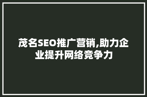 茂名SEO推广营销,助力企业提升网络竞争力